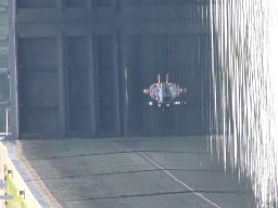 Mainschwimmen Juni 2026